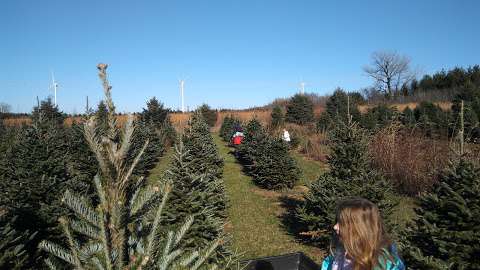 Bybee Christmas Tree Farm